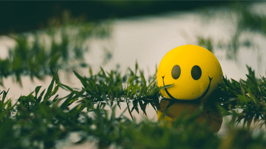yellow ball with smiley face sitting in the grass giving positive attitude vibes