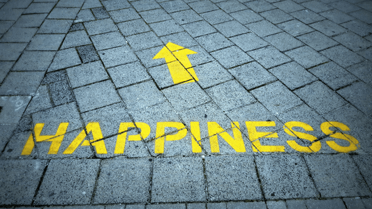 The word Happiness painted on a brick street with an arrow pointed up.
