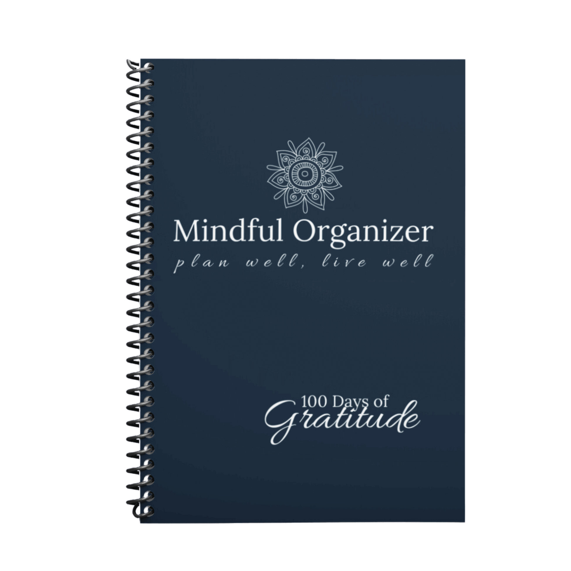 Image of 100 Days of Gratitude Journal from Mindful Organizer selling for $19.00.